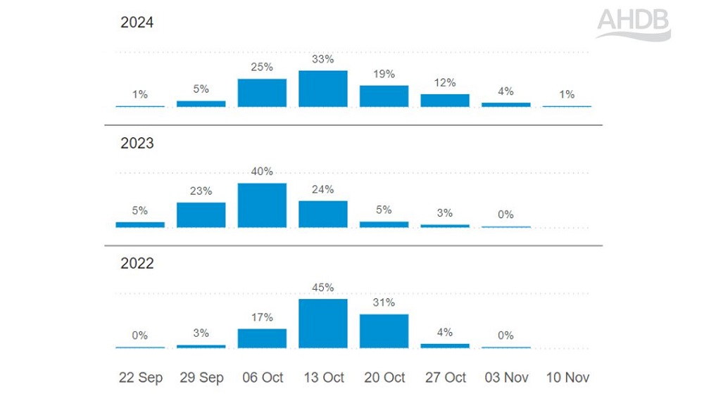 Phoma forecast chart that shows the distribution of dates for three years (2022-24)